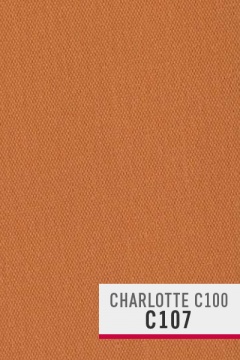 картинка Ролети тканеві CHARLOTTE C100, колір C107 от магазина Карнизы