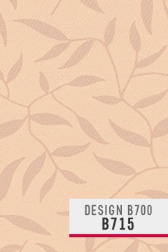 картинка Ролети тканеві DESIGN B700, колір B715 от магазина Карнизы